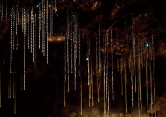 ナチュラル・ブリッジ地区の風化作用でできた橋