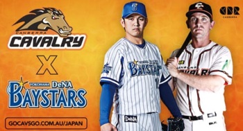 横浜DeNAベイスターズとの提携を伝える豪プロ野球チーム、キャンベラ・キャバルリーの広告
