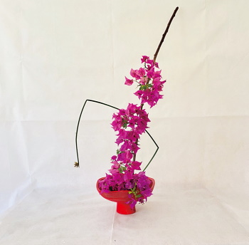 季節の花ブーゲンビリアをふんだんに使用し、リゾートにいるような開放感をお部屋に演出します