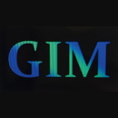 GIM Capital Professional Pty Ltd