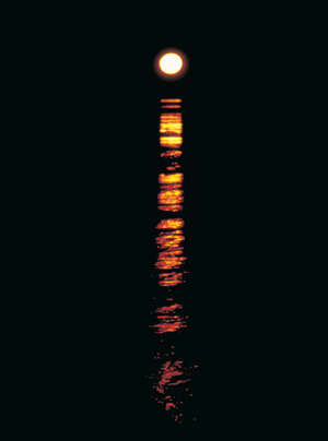 staircase_to_the_moon_102726-3