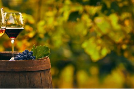 Three glasses of white, rose and red wine on a wooden barrel. Panoramic photo