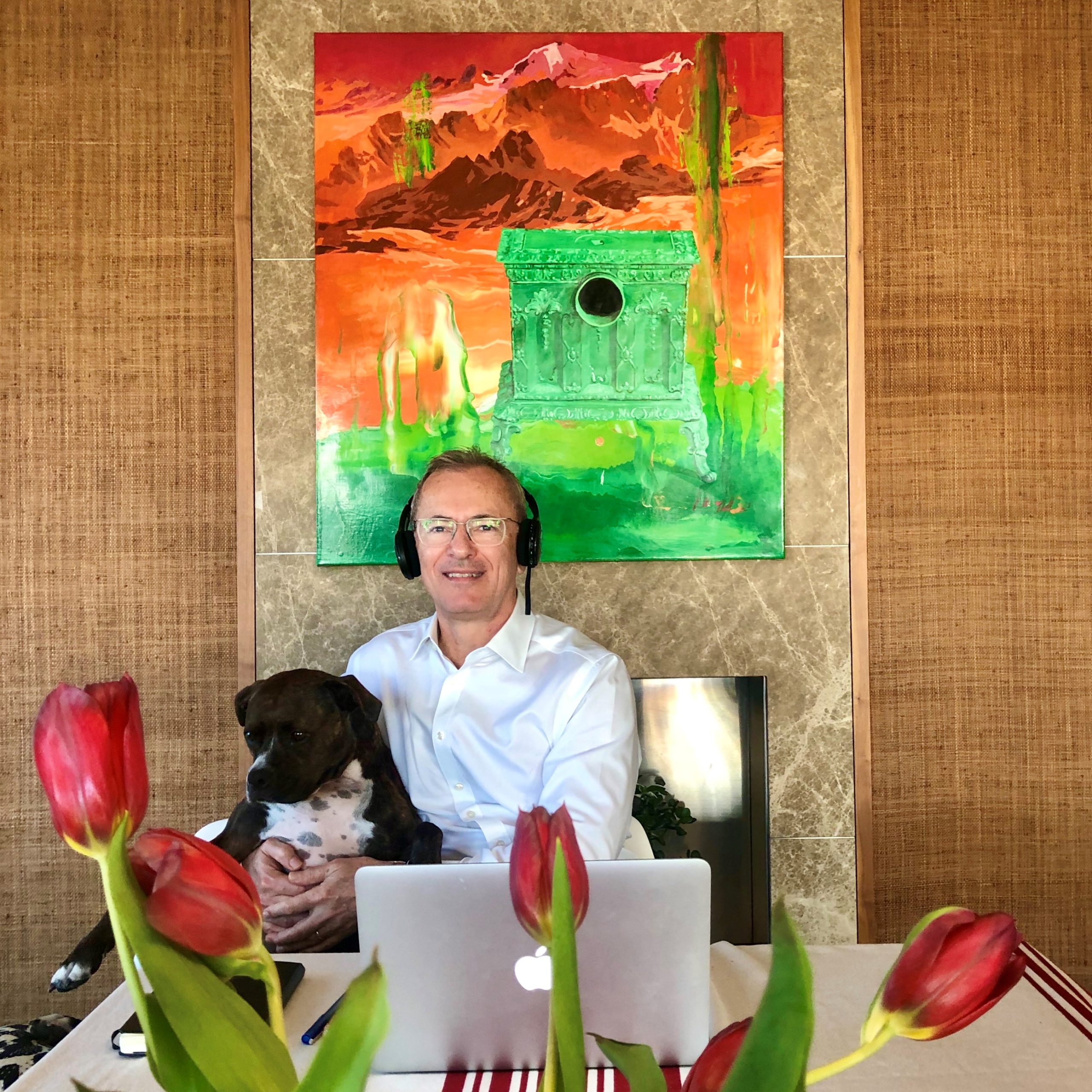 MB working from home with Frankie