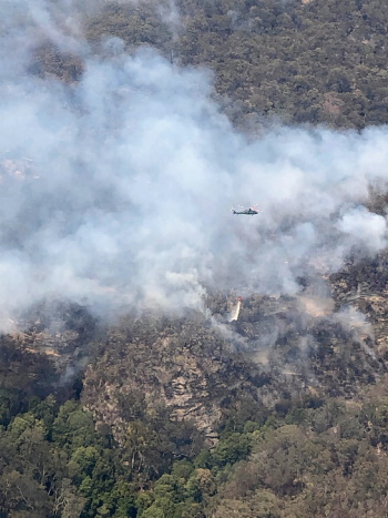 「化石の木」ウォレマイ･パインの群生地での森林火災消火活動（ウォレマイ国立公園、写真提供：NSW Department of Planning, Industry and Environment）