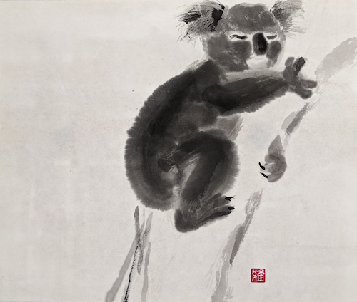 koala