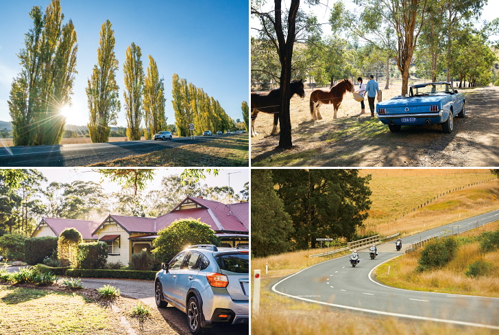 （左上）NSW州南部スノーウィー･マウンテンズのポプラ並木　（右上）ワインの名産地ハンター･バレーの農場で馬と戯れる　（左下）趣のあるテージに泊まるのもお薦めだ　（右下）バイク乗りならツーリングの旅も楽しめる（Photos: Destination NSW）