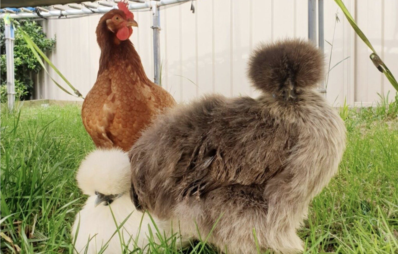 Screenshot-2025-05-27-at-12.23