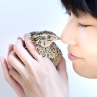 020KAZUKIHIRO171011_TP_V4