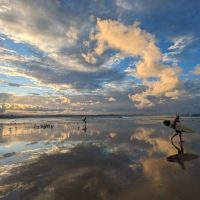 1000002131-1-1-1-1-1