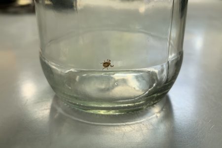 13−3-オーストラリアの田舎で暮らせば