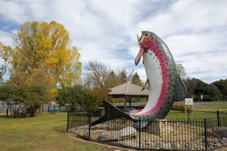 The 10-metre high Big Trout fibreglass structure in Adaminaby...Artist: Andy Lomnici, 1973.