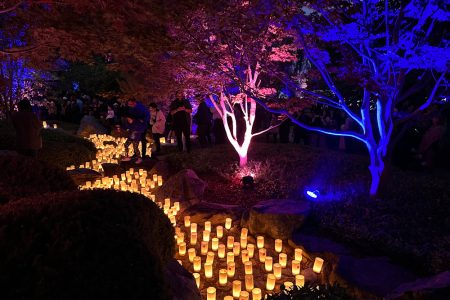 1_Candle-Festival