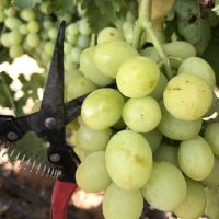 20181026_131426_IMG_0046