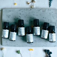 320735920_881326222903147_402239364554308189_n-1-1-1-1-1-1-1-1