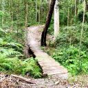 39−1　オーストラリアの田舎で暮らせば