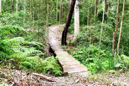 39−1　オーストラリアの田舎で暮らせば