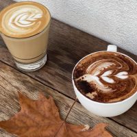 Autumn-Leaves-Melbourne
