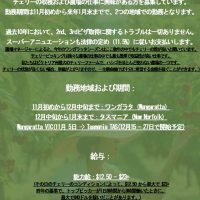 Cherry-Japanese-fix-Low