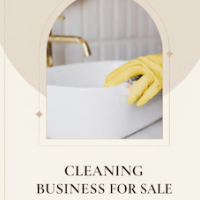 Cleaning-business