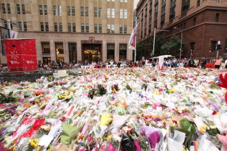 Field_of_flowers,_Martin_Place,_Sydney