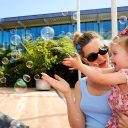 HiveFestivalAGNSW2026