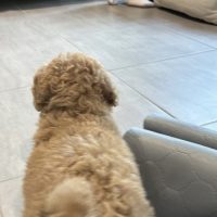 IMG_2786