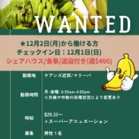 ImportedPhoto.753678700.321751-1