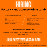 Junee-Prime-Lamb