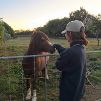 KakaoTalk_Photo_2026-03-15-11-17-46-001