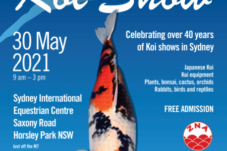 Koi-Show