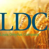 LDC-BLog-1