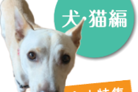 NA2003_PETS_LB