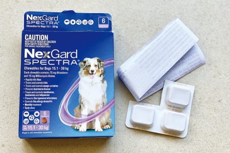 NA2104_DOGL_L1