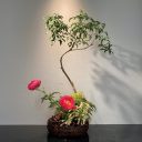 NA2108_FLOW_L1