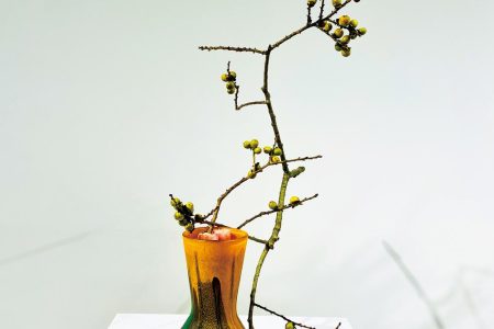 NA2209_FLOW_L1