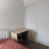 PXL_20230130_231616695-1-1-1-1