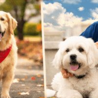 Screenshot-2026-01-06-111046