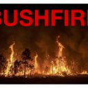 bushfire