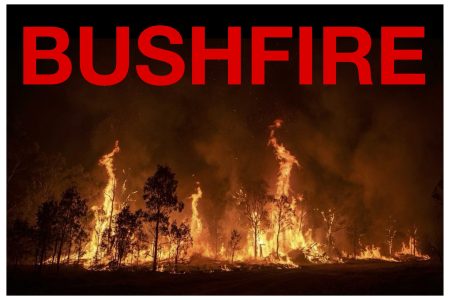 bushfire