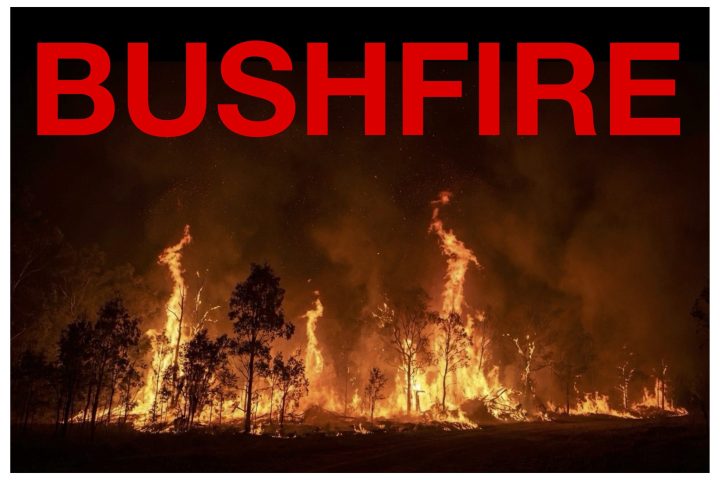 bushfire