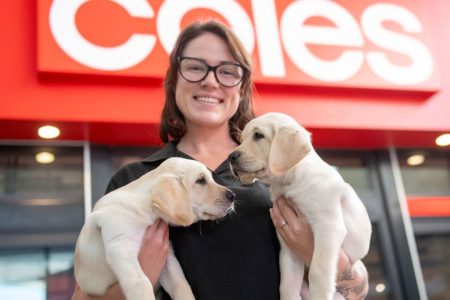 coles_dogs