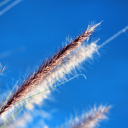 craig-manners-wMUiGIA2cJY-unsplash-1
