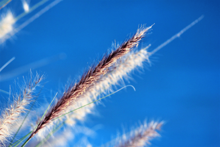 craig-manners-wMUiGIA2cJY-unsplash-1