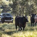 2026 Toyota HiLux SR