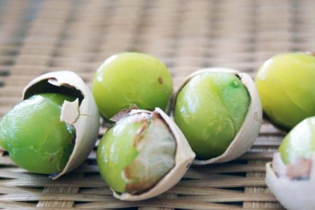 ginkgo-nuts1