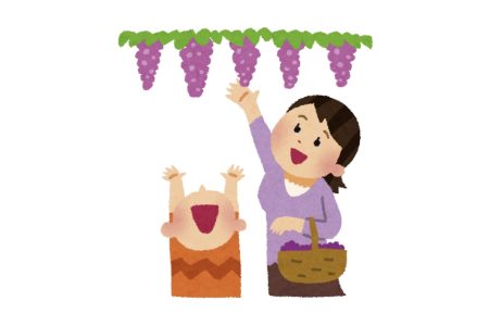 grape