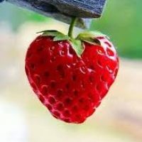 images-9