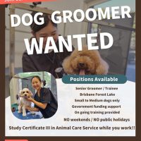 info@cloverdogdesign