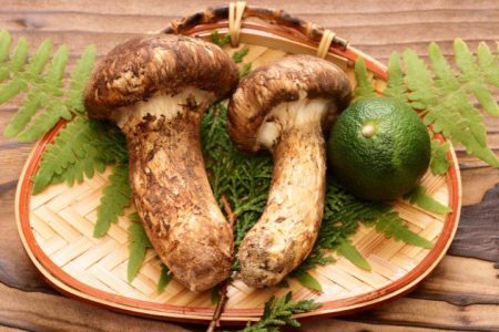 matsutake-1