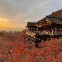 omkar-jori-YbcX7QktfjA-unsplash